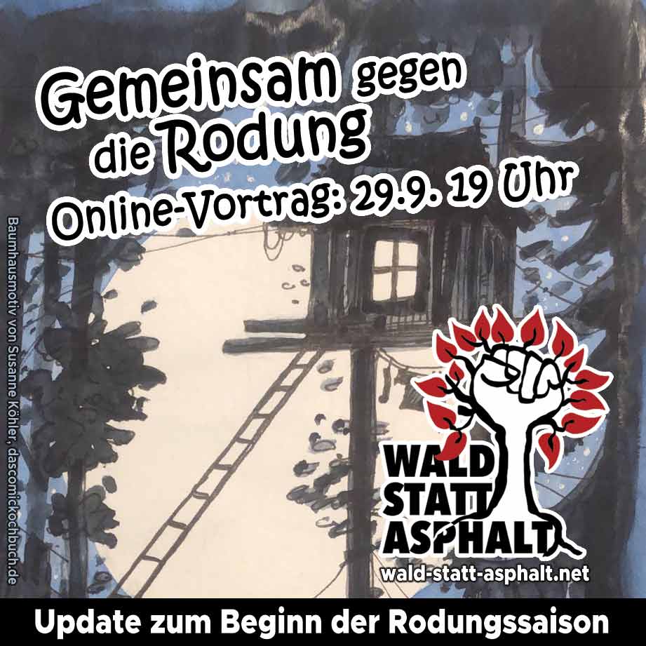 Wald statt Asphalt: Gemeinsam gegen die Rodung