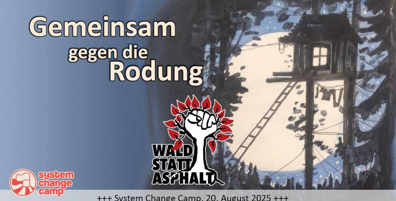 WsA Vortrag Gemeinsam gegen die Rodung, System Change Camp August 2025