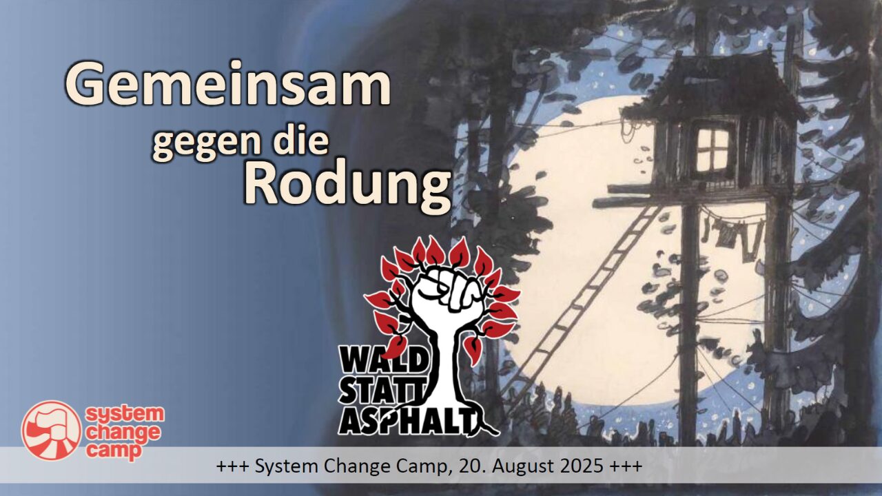 WsA Vortrag Gemeinsam gegen die Rodung, System Change Camp August 2025