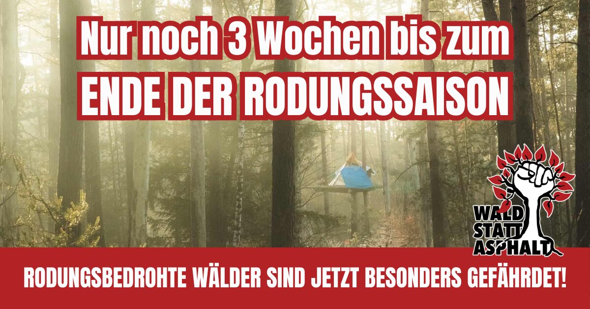 Noch 3 Wochen bis zum Ende der Rodungssaison